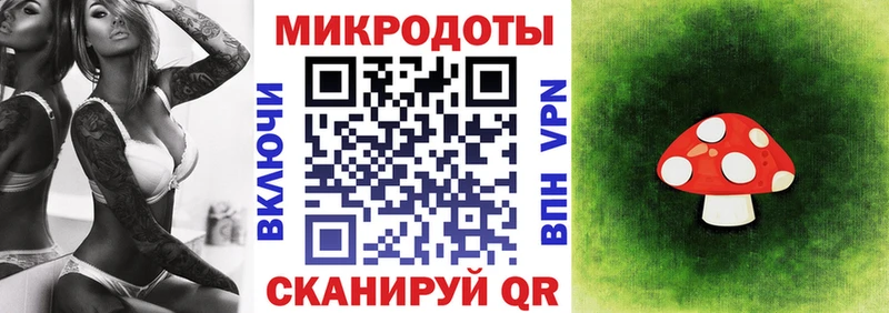 как найти наркотики  Сураж  Галлюциногенные грибы MAGIC MUSHROOMS 